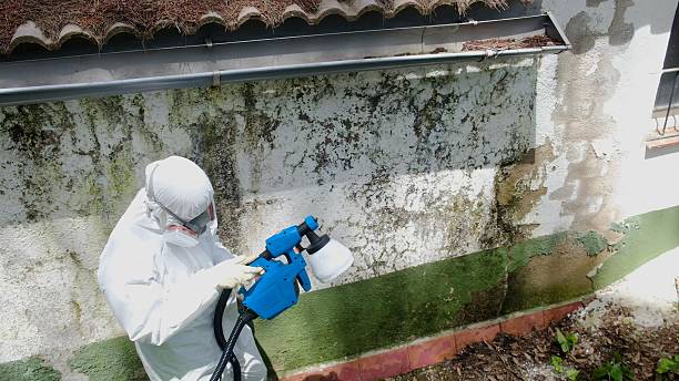 Top rated local Commercial Mold Remediation specialists in Deer Park, WA